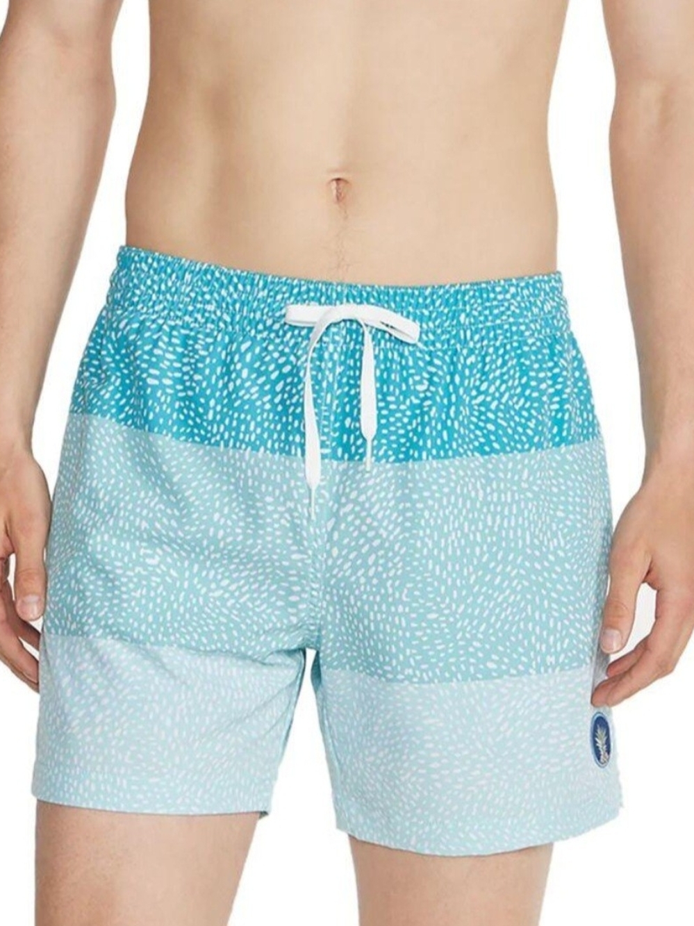 Chubbies Men's Easy Rays  Swim Trunks